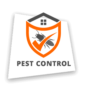 website design and digital advertising for exterminators possible zone